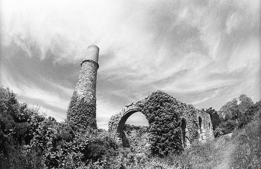 IMG010.jpg