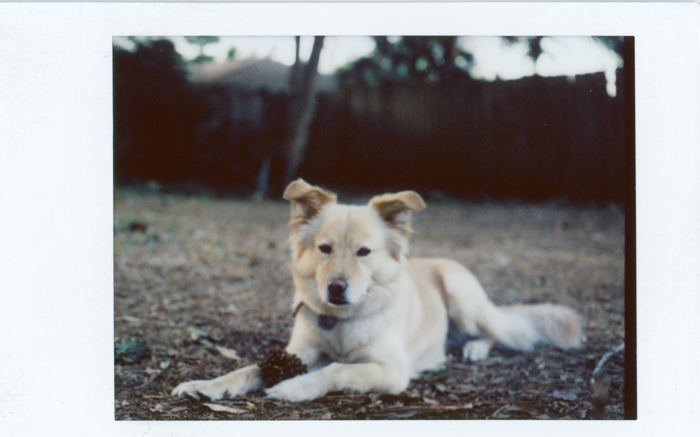 img011.jpg