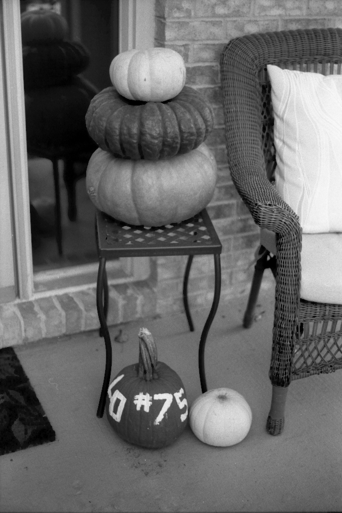 img024 (683x1024).jpg
