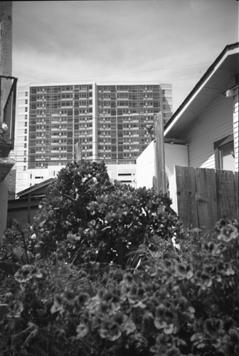 img055 copy.jpg
