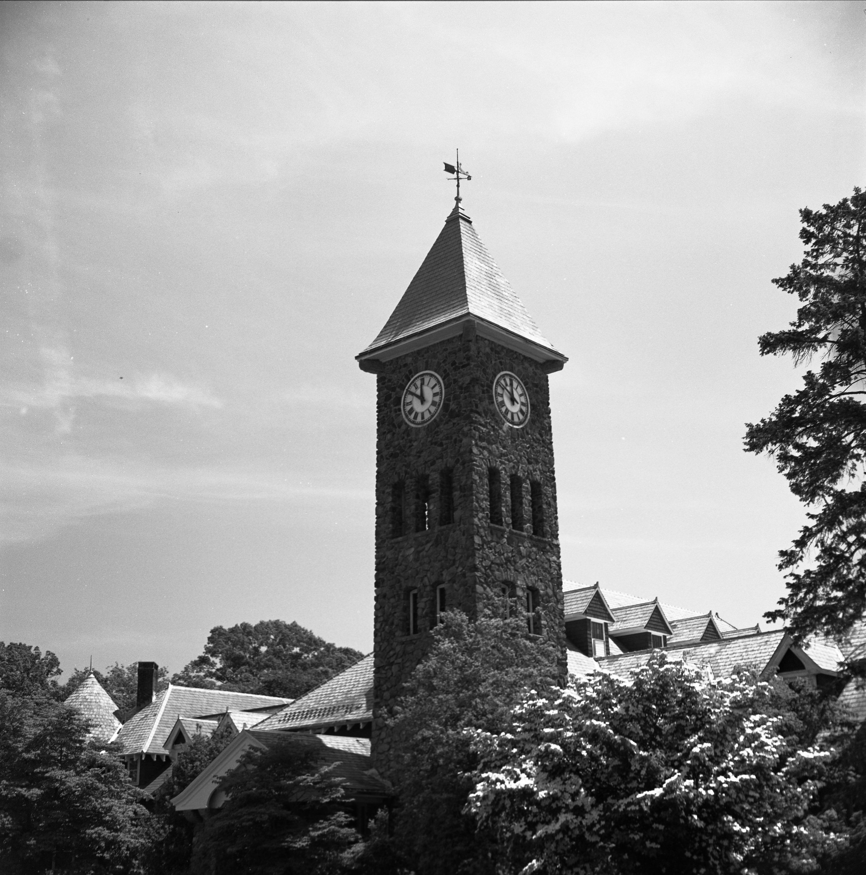 img101-3000.jpg