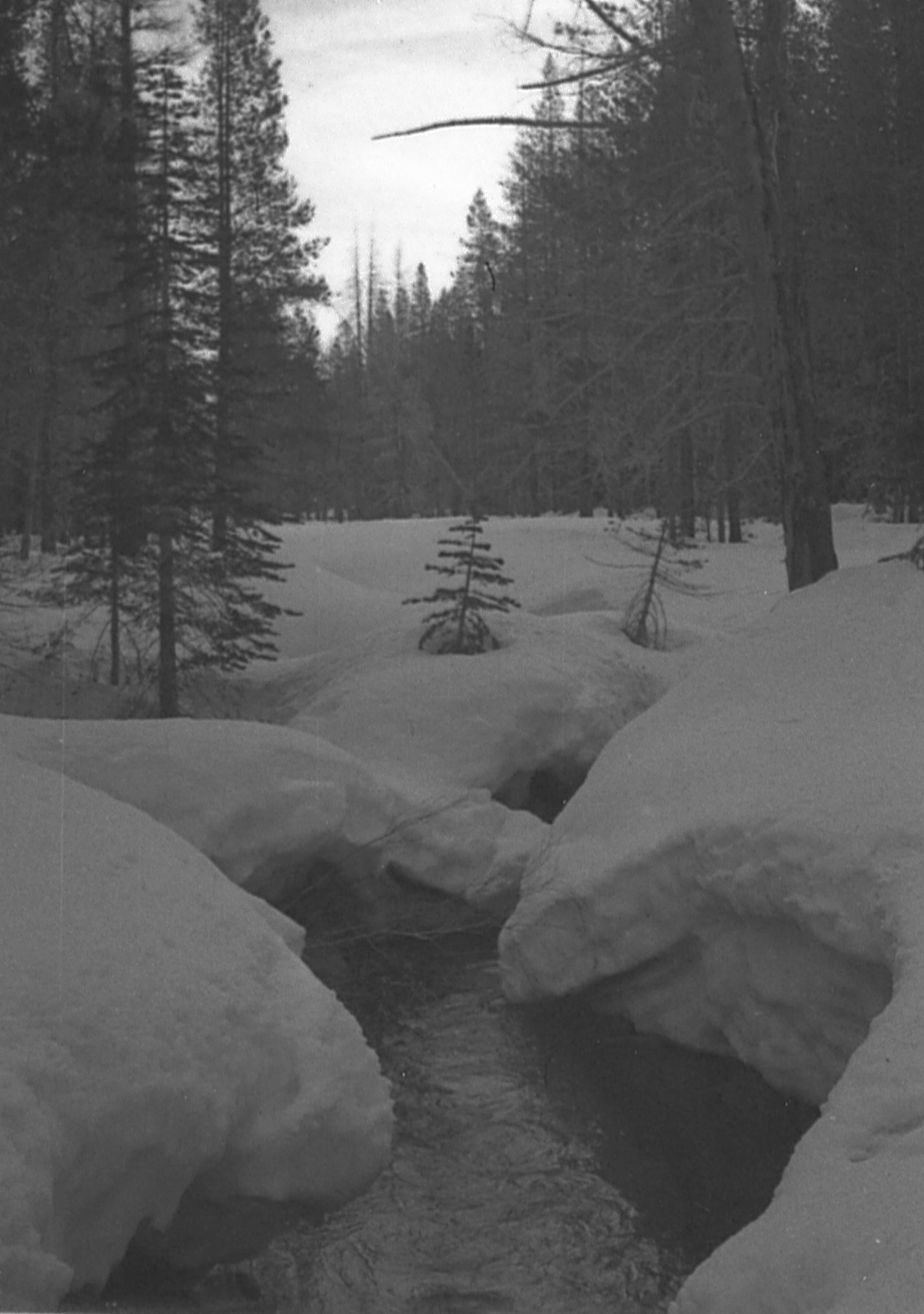 img224.jpg