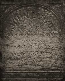 img279.jpg
