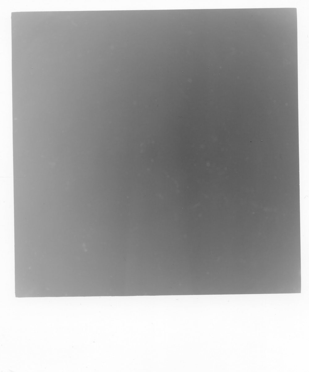 img305.jpg