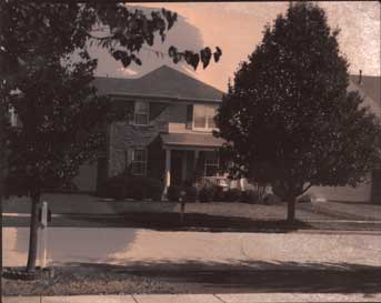 img336_web.jpg