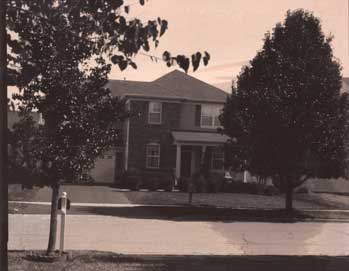 img337_web.jpg