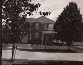 img338_web.jpg