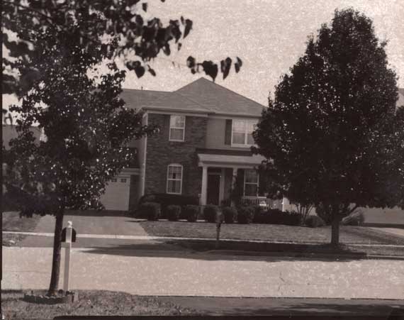 img339_web2jpg.jpg