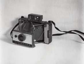 img343_web.jpg
