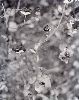 img351_web.jpg