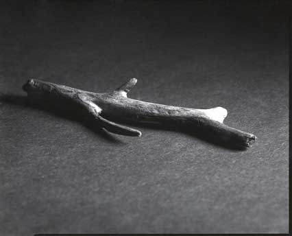 img380_web.jpg
