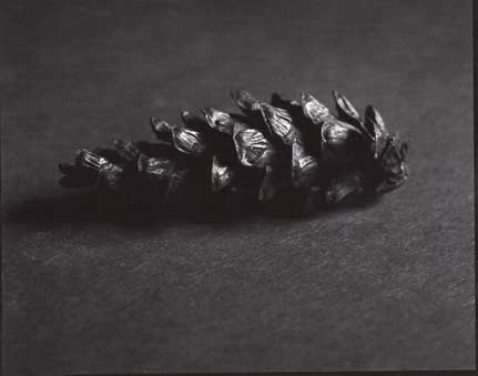 img382_web.jpg
