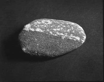 img383_web.jpg