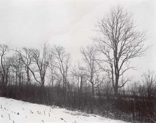 img472_web.jpg