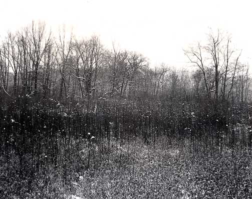 img474_web.jpg