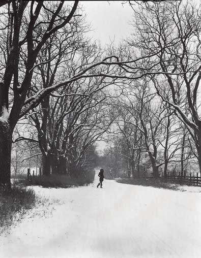 img476_web.jpg