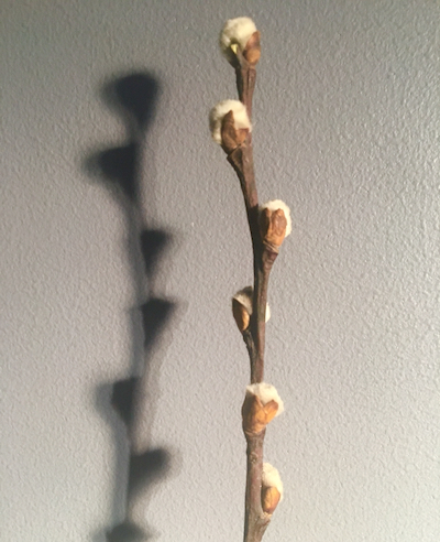 IMG_0424.jpeg