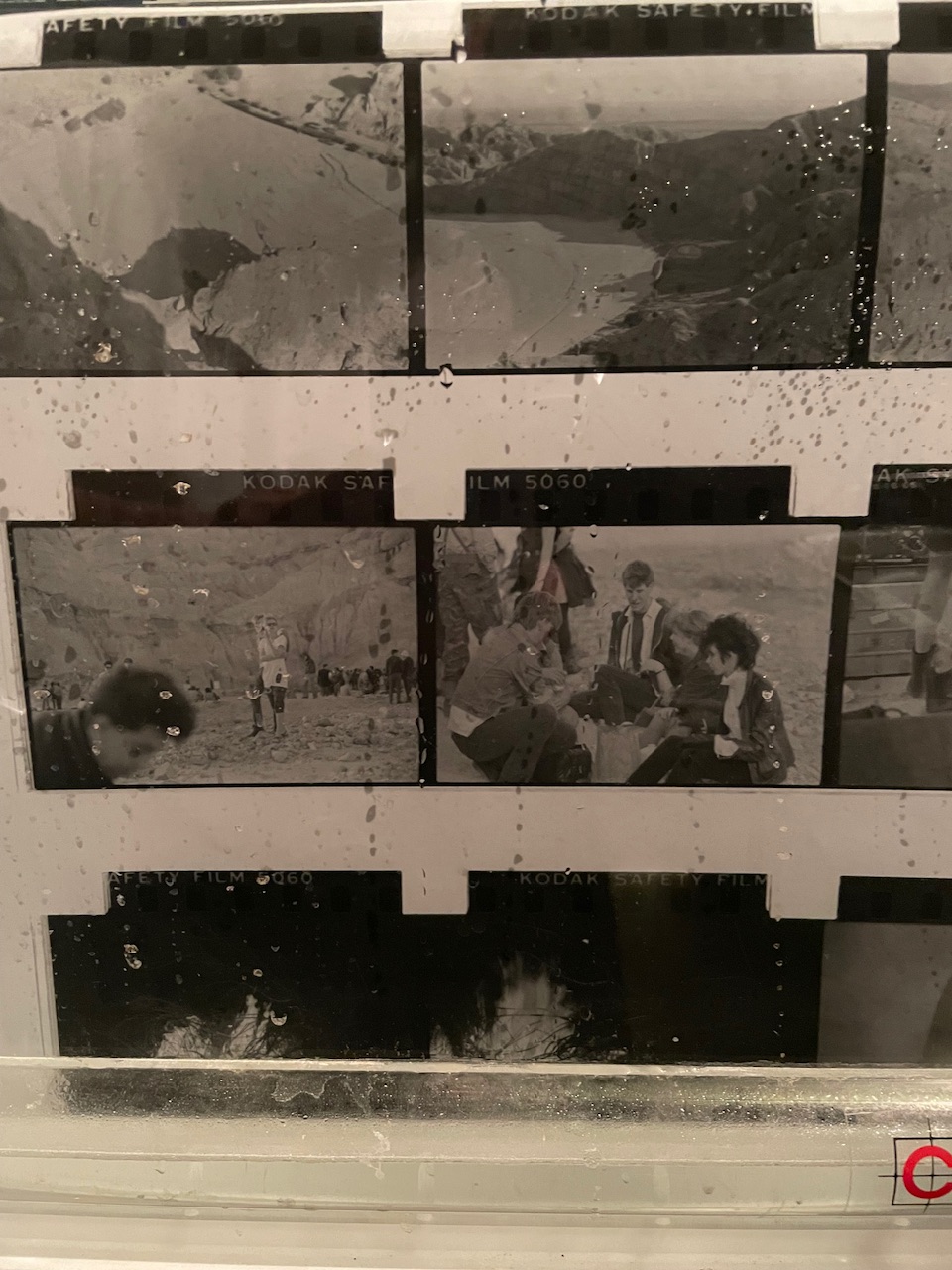 IMG_0867.jpeg