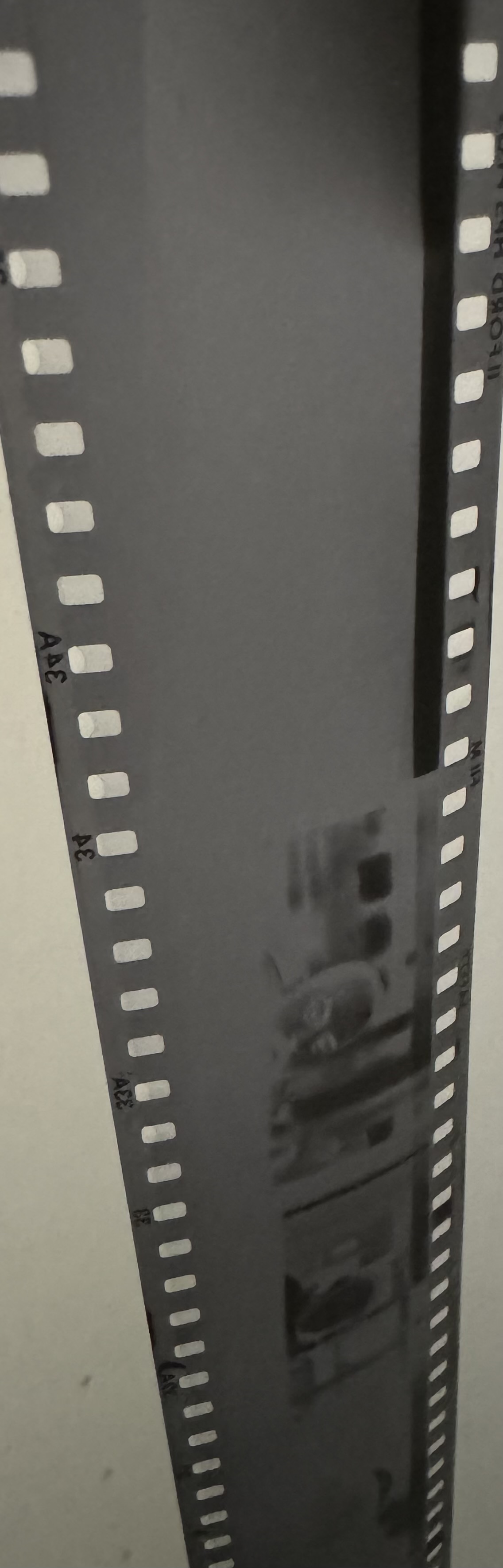 IMG_0903.jpeg