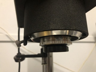 IMG_1012.jpeg