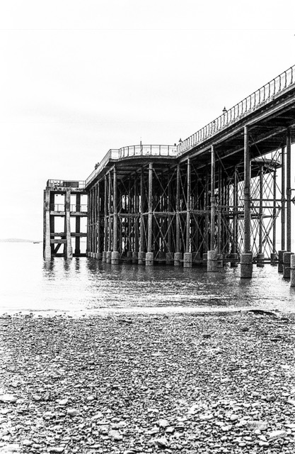 IMG_1105.JPG