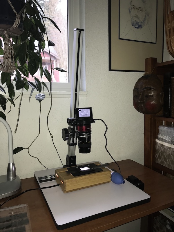 IMG_1827.jpeg