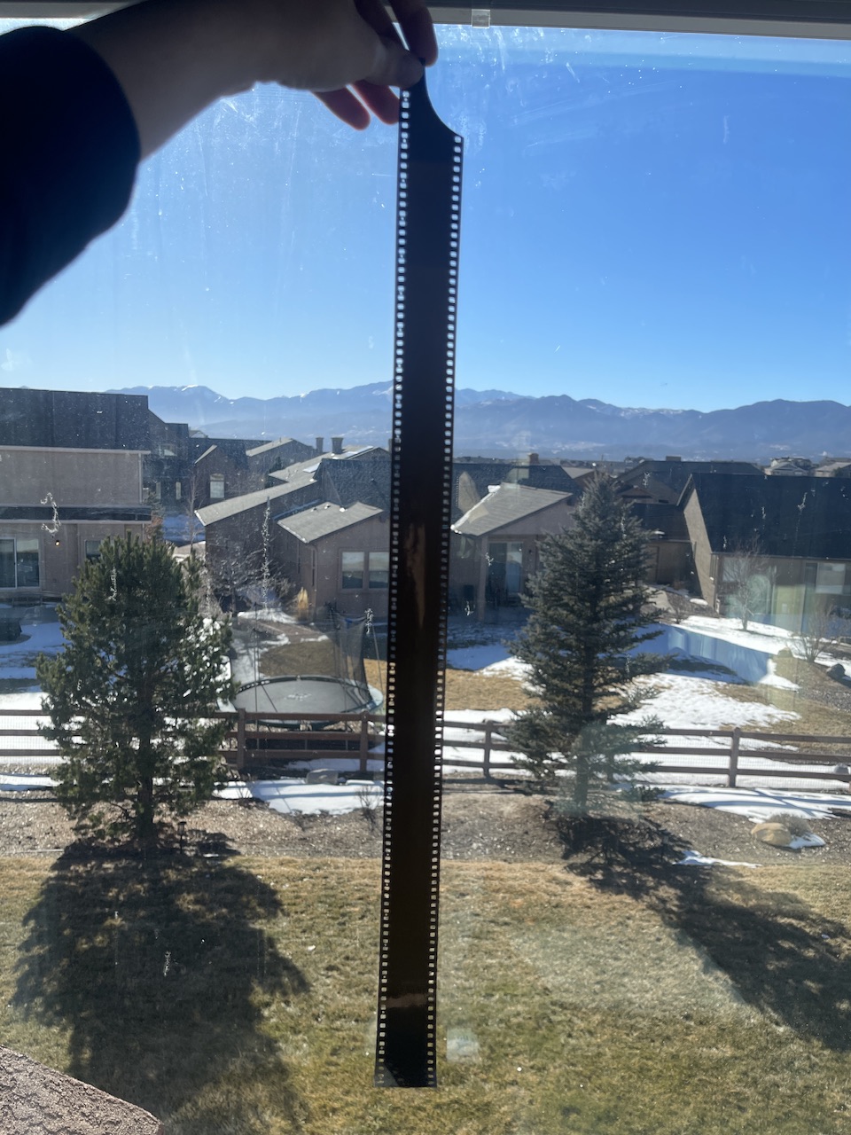 IMG_1985.jpeg
