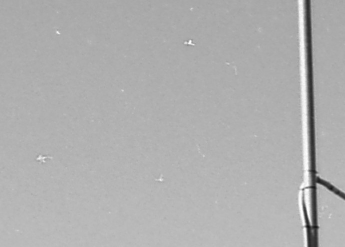IMG_20190223_163337_106.jpg