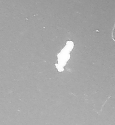 IMG_20190223_181503_013.JPG