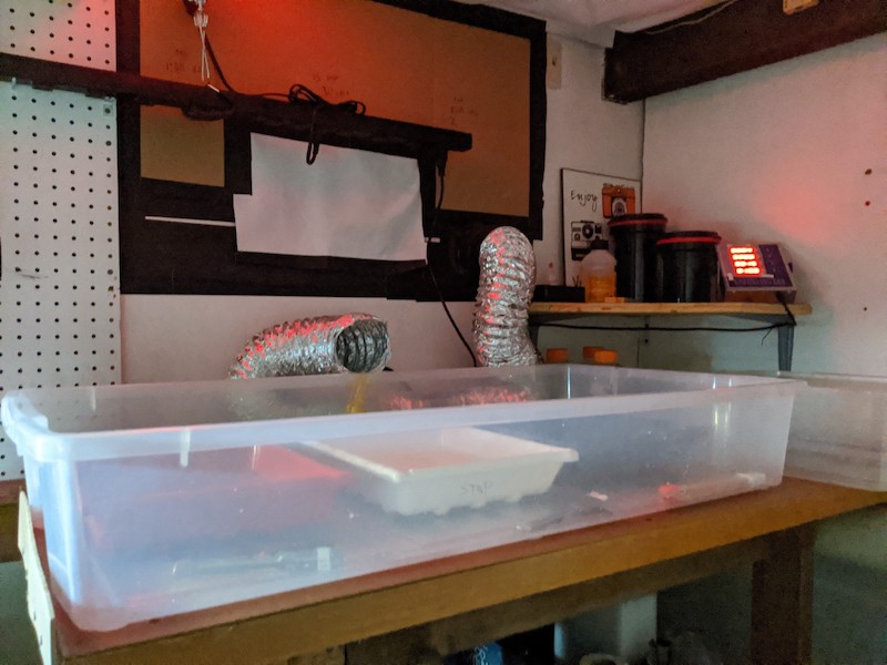 IMG_20191207_234719.jpg