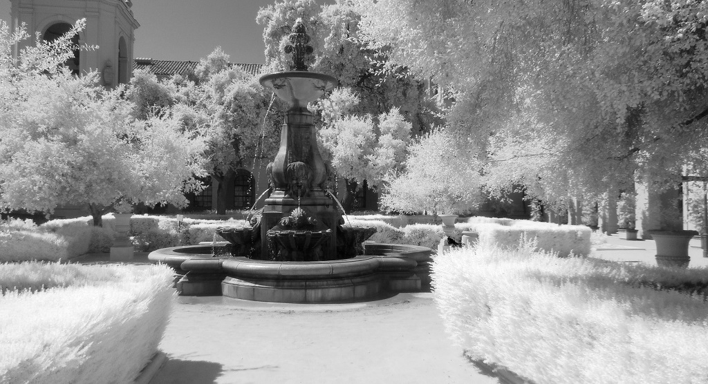 IMG_20200818_105057982IR_Small.jpg