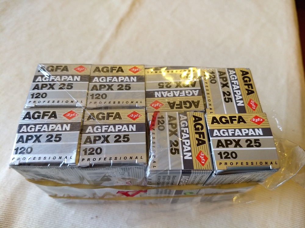 IMG_20210414_131408373_Agfapan25-film_resized.jpg