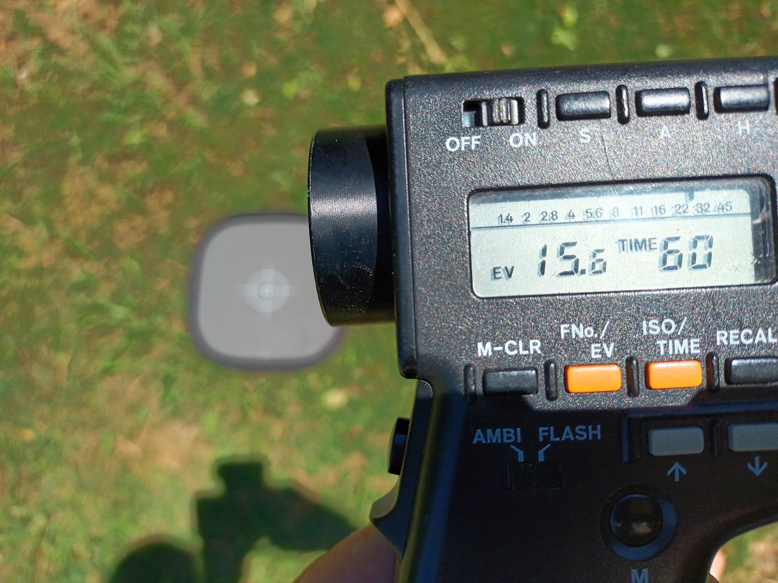 IMG_20220131_130645.jpg
