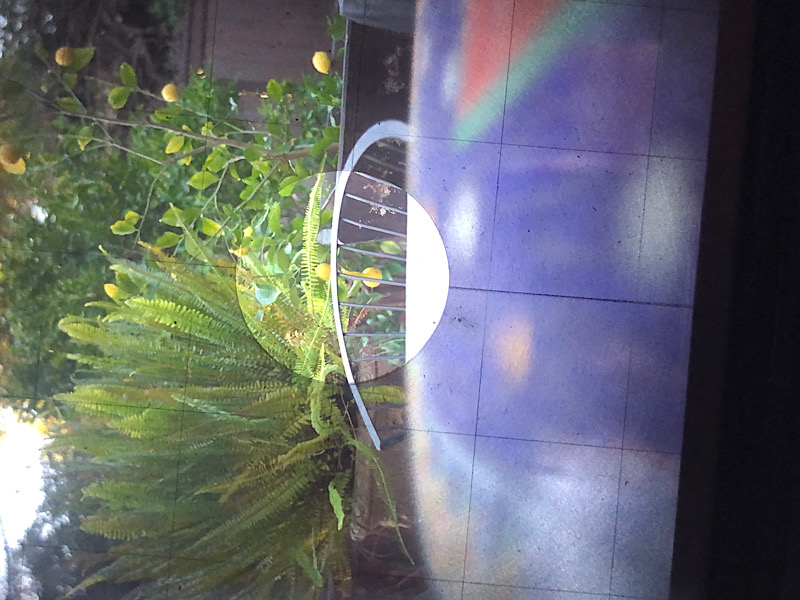 IMG_2024-01-07-161510.jpeg