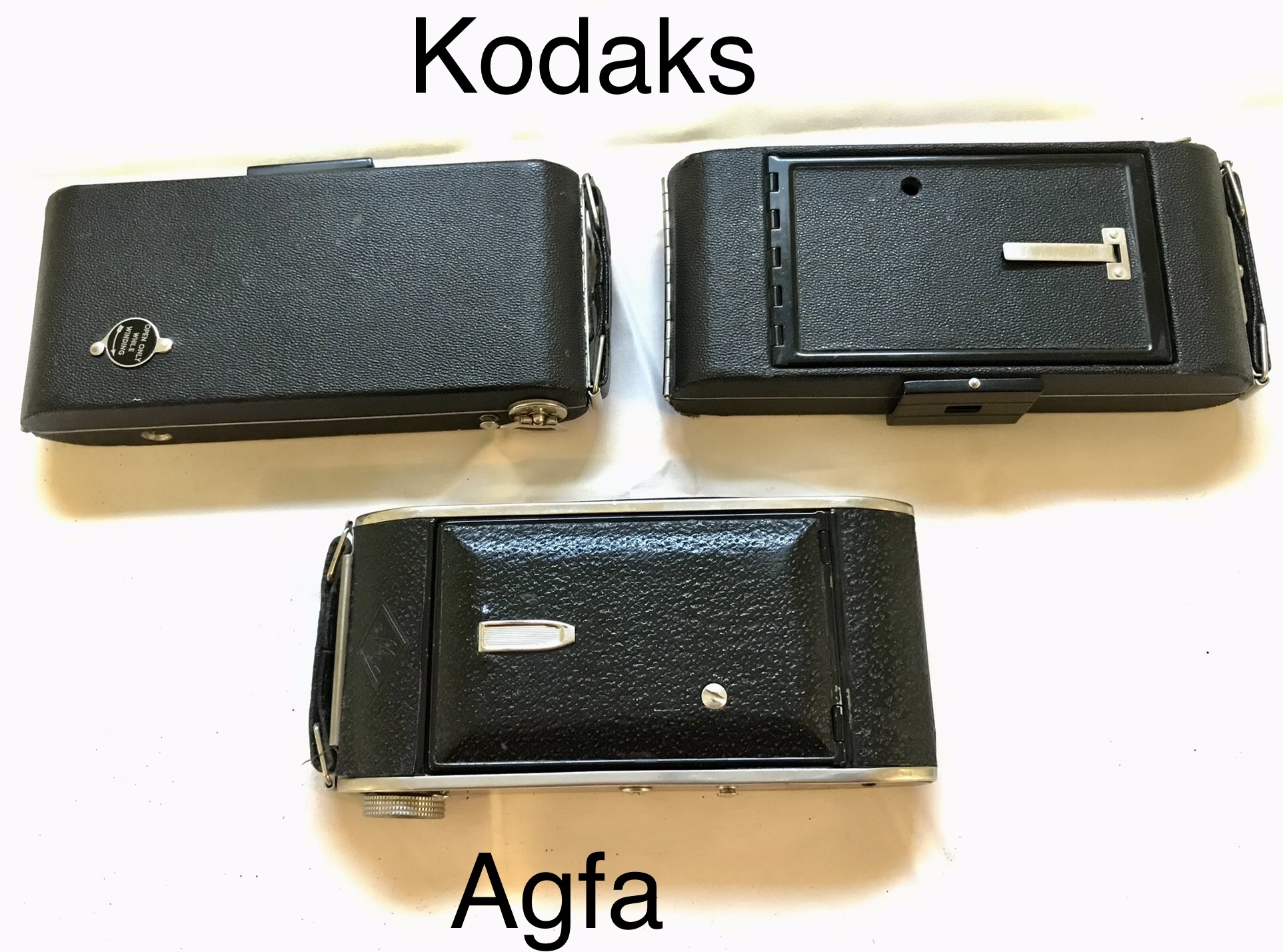 IMG_2678.jpeg