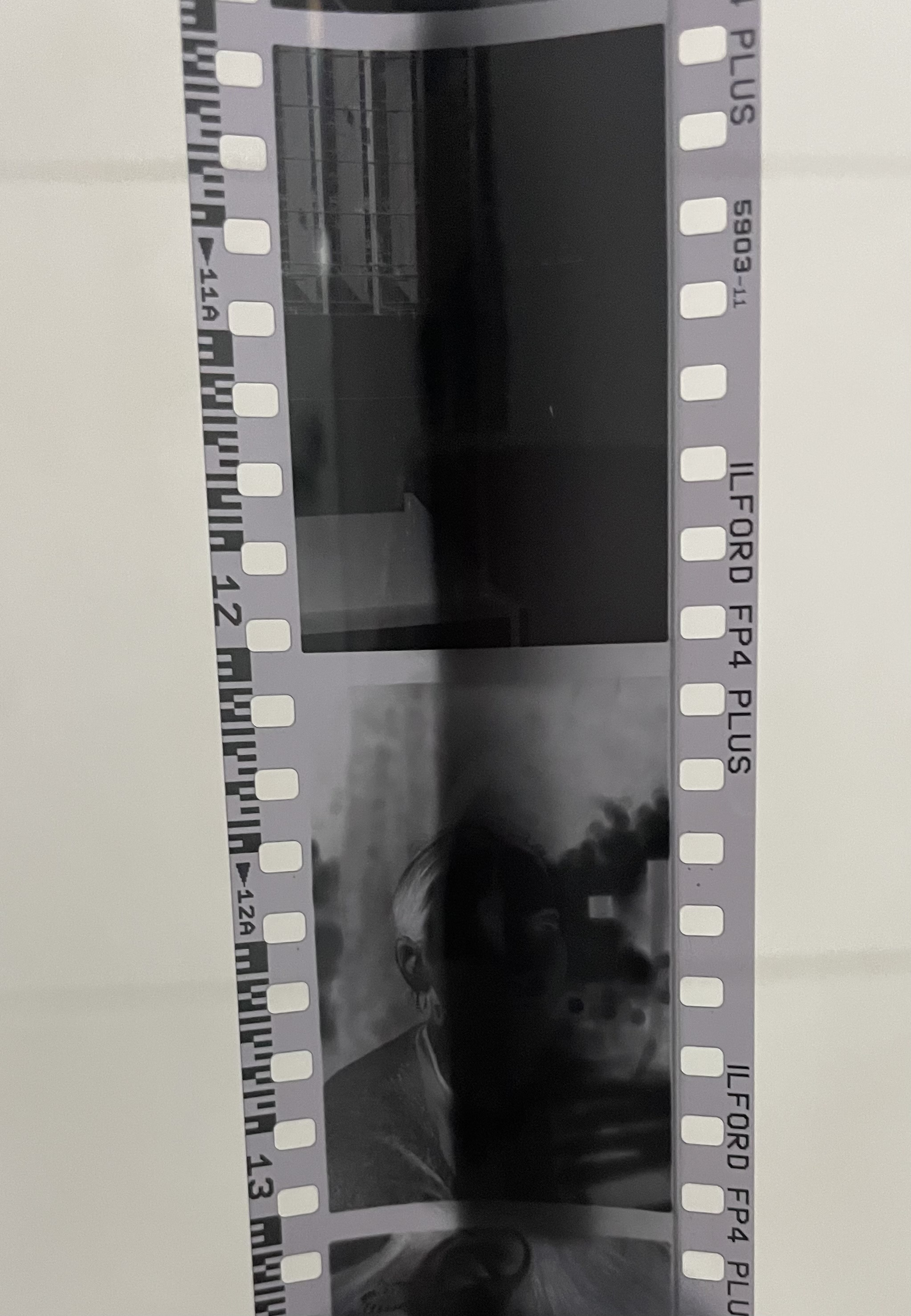 IMG_3201.jpeg