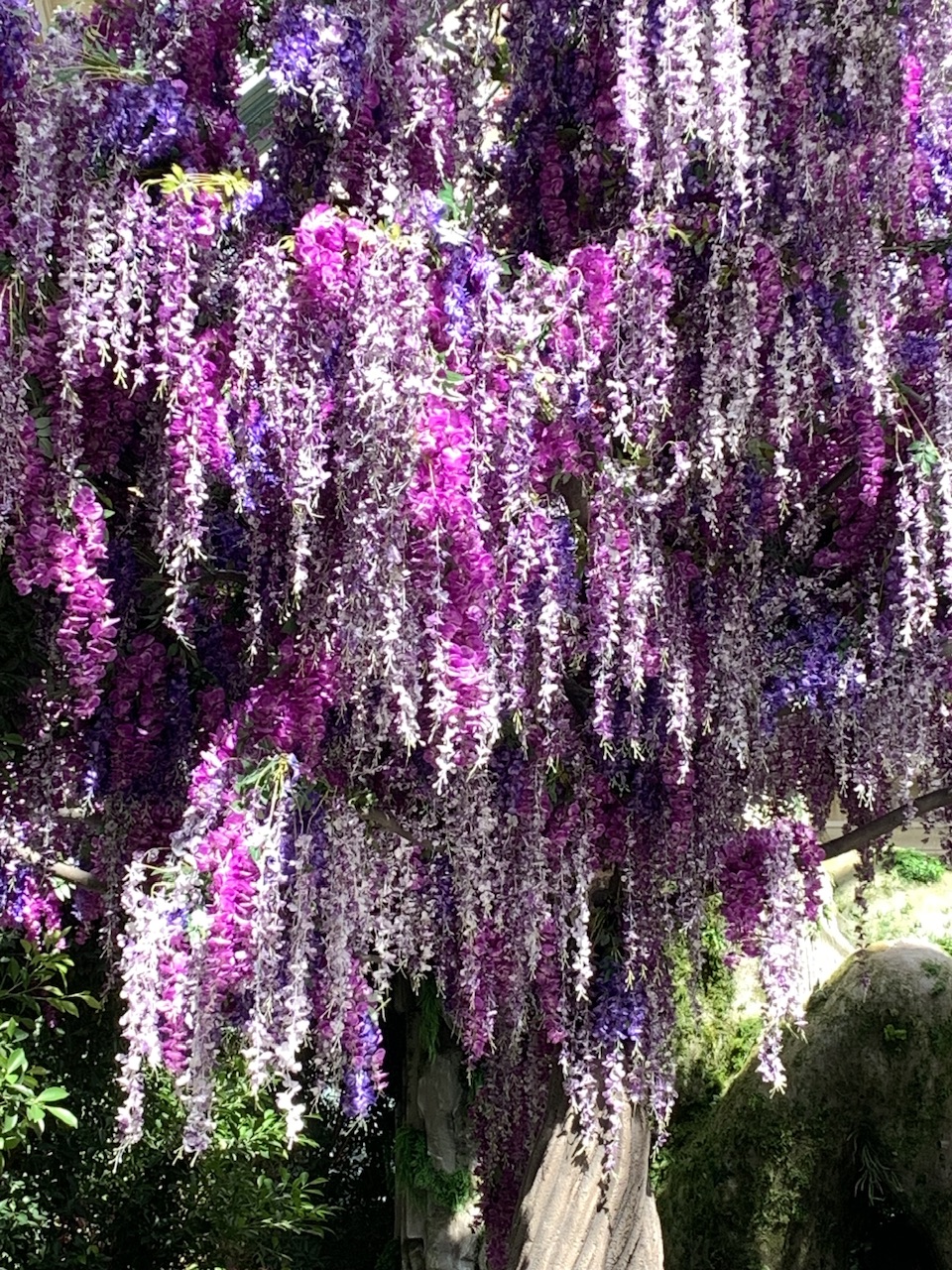 IMG_3241.jpeg