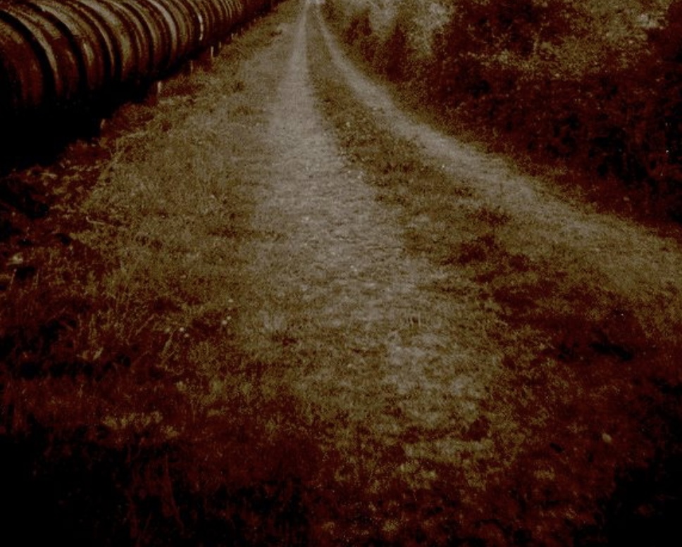 IMG_4458.jpeg