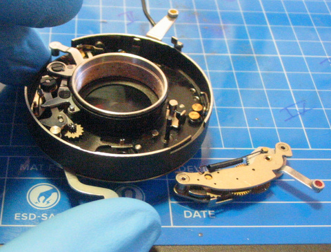 IMG_5488_small.jpg