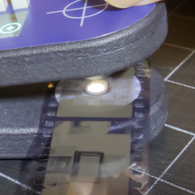 IMG_5858 Medium.jpeg