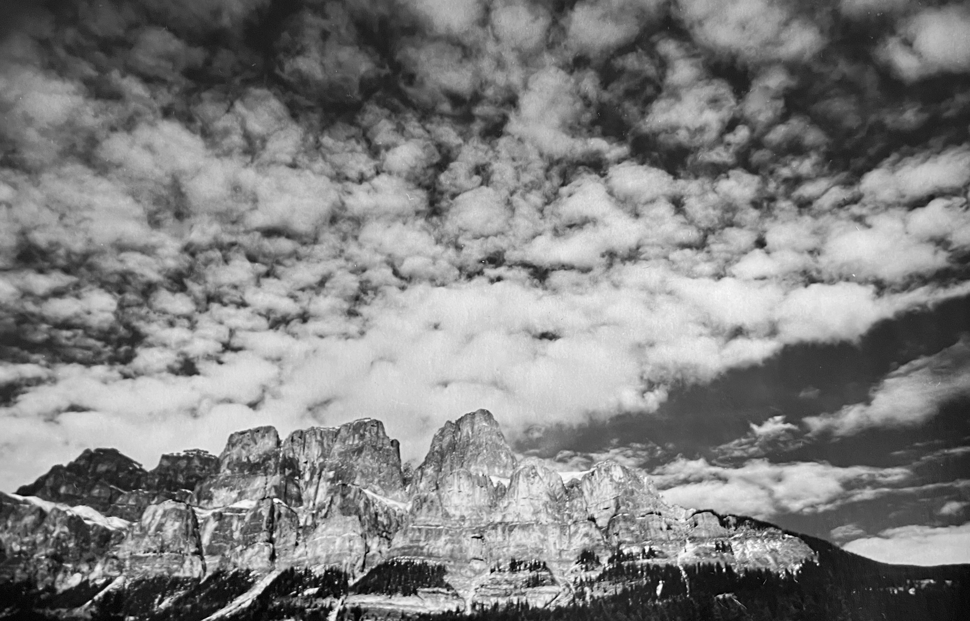 IMG_7675 copy 2 4.JPG