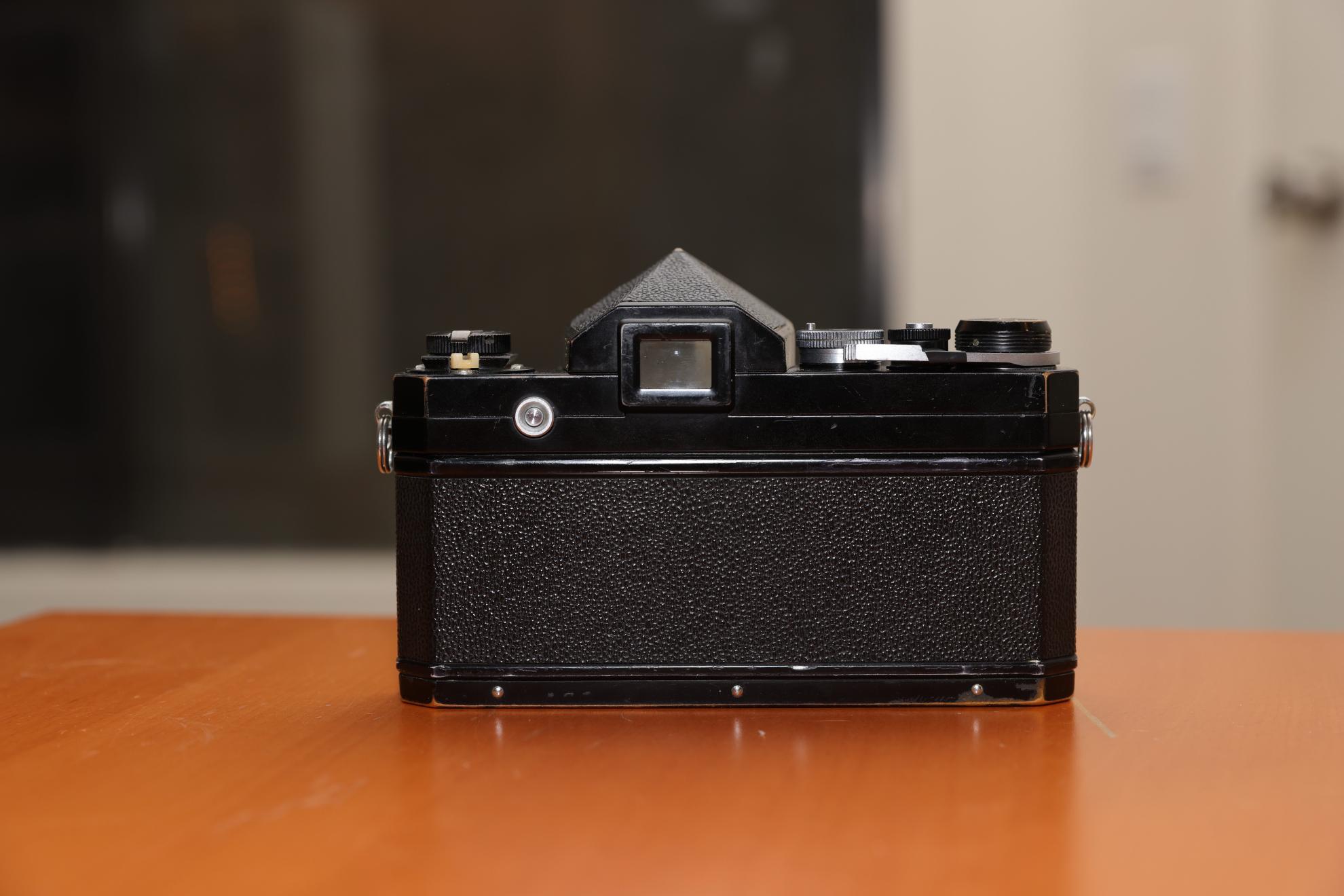 IMGC1233.jpg