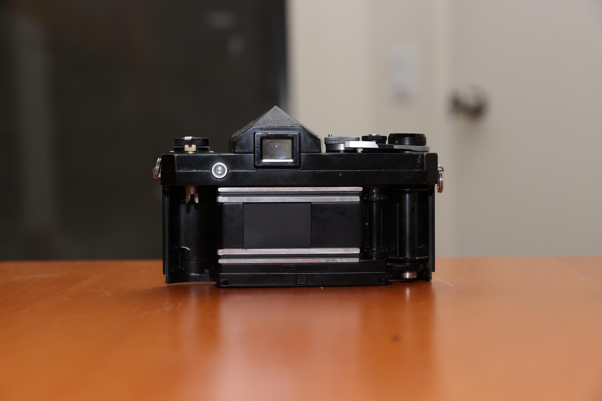 IMGC1235.jpg