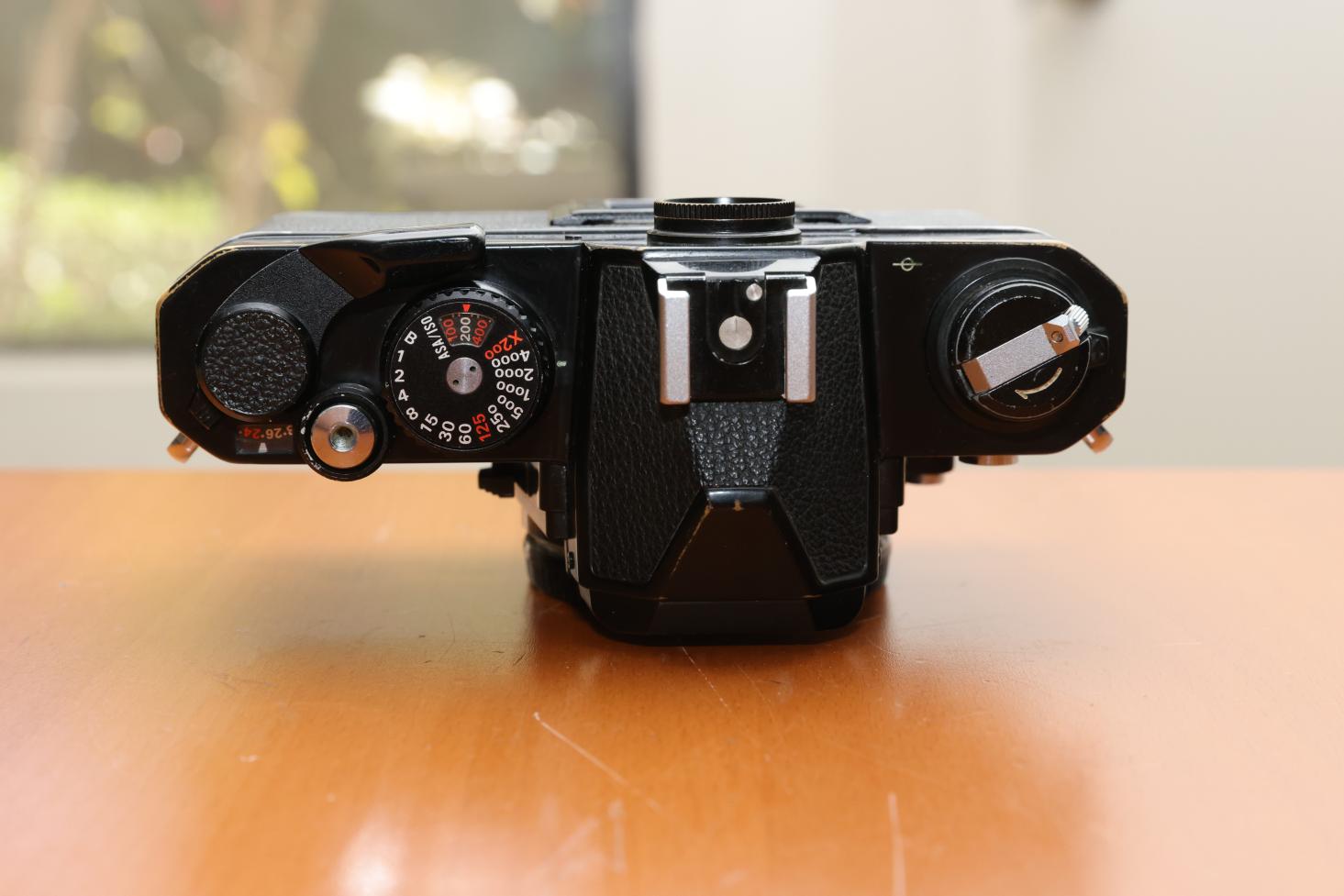 IMGC3920.jpg