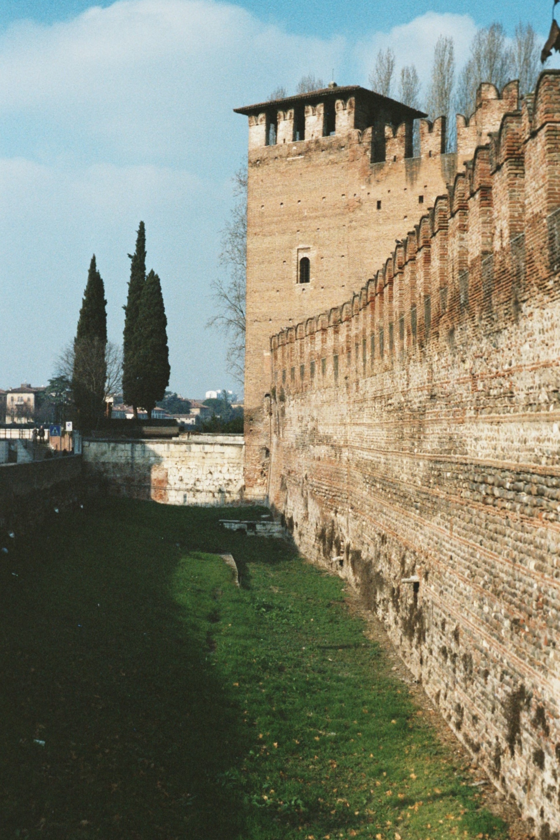 IMM025 (2).JPG
