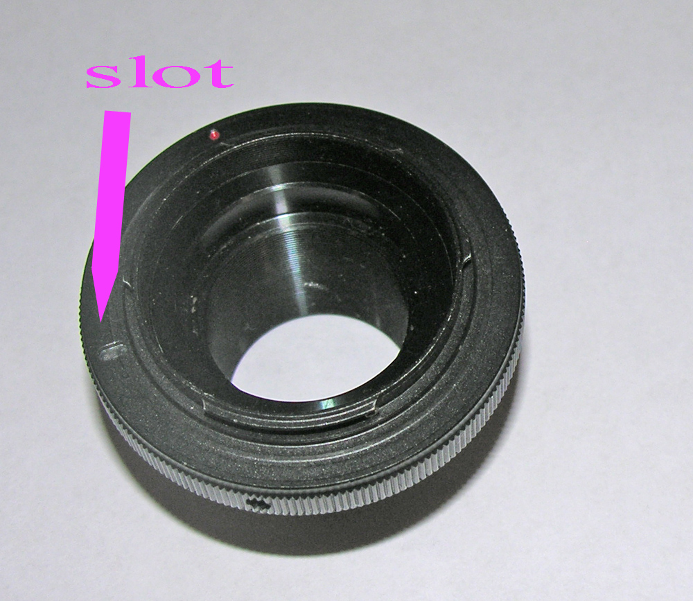 info02.jpg