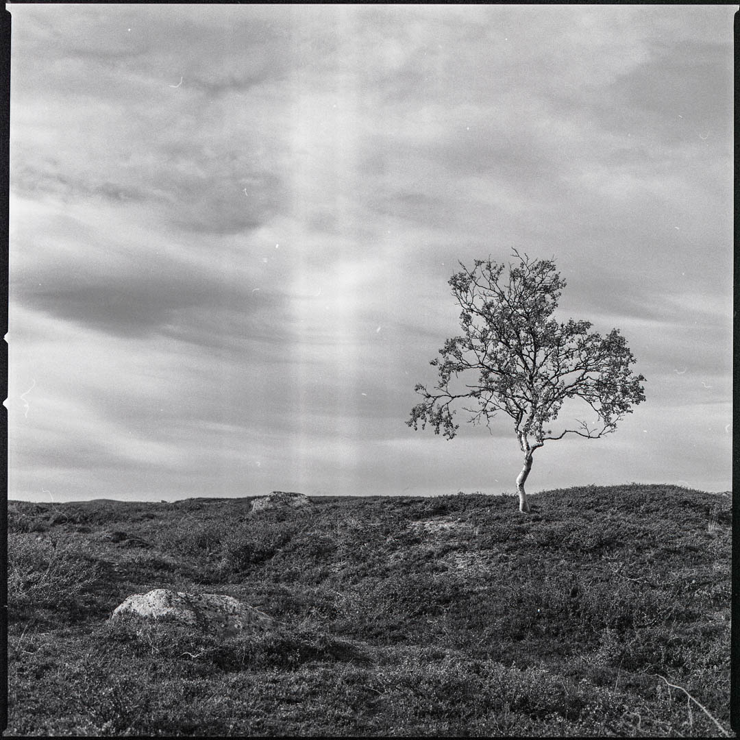 inst-NNO_203FE_400TX_064.jpg