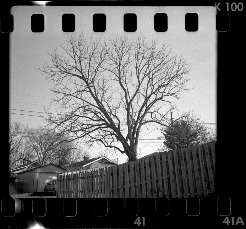 insta500_K100_xtol11_0s.jpg