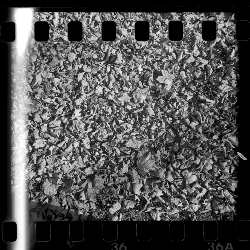 insta500_K100_xtol11_1s.jpg