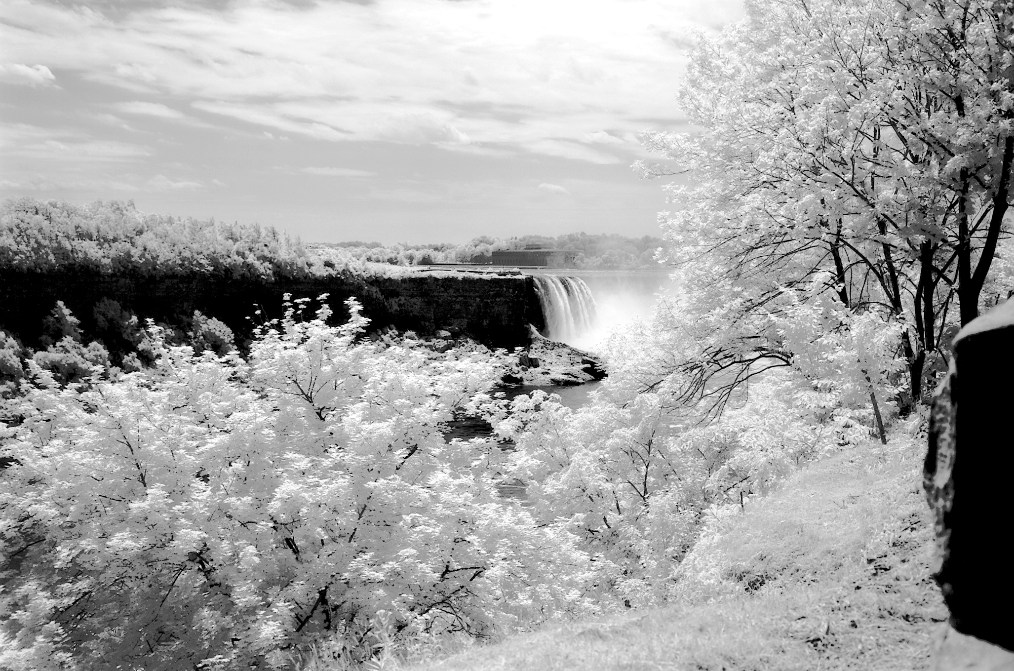IR_Niagara _2_40pc.jpg